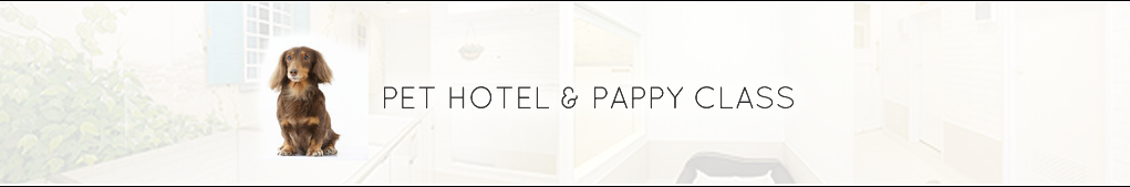 PET HOTEL & PAPPY CLASS